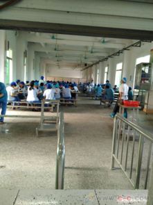 深耕十二載，專業(yè)鑄就信賴 德華餐飲引領(lǐng)工廠食堂對(duì)外承包新風(fēng)尚